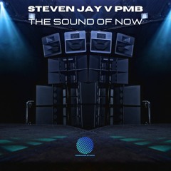 Steven Jay & PMB - The Sound of Now [sample]
