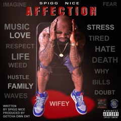SPIGG NICE -AFFECTION-INSTRUMENTAL w_HOOK