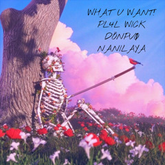 WHAT U WANT! ft Dönpvø & Nanilaya