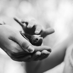 Calming Mindfulness Meditation