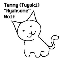 GROUNDSWAP - Tammy Wolf (KB's Take)