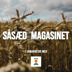 Såsædsmagasinet 2025 - August: Høsten er i fuld gang