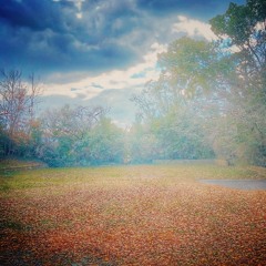 skyward #7