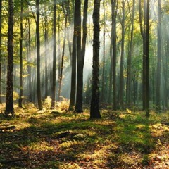 Souvenir (feat. Taylor Michaels)