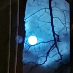 Labai Patinka Letas Ambient A-