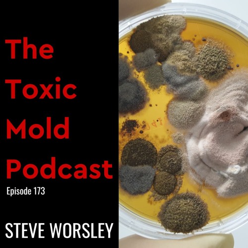 EP 173: Different Types of Mold Testing