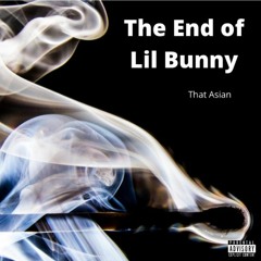 The End of Lil Bunny (prod. LEXNOUR)