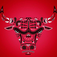 BULLS Ft. toonskhool (Twovrt)