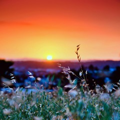 Morning Softness *Hip-Hop Beat*