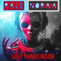 Pale NORaa  - Aggressions