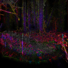 raincloudsfollowme (cover) mic test, dont expect much