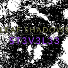 Leaf Shadows (video mix)