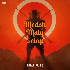 M7dsh Mali 3eni - Tiqer X R3 | محدش مالي عيني - تايجر و رع