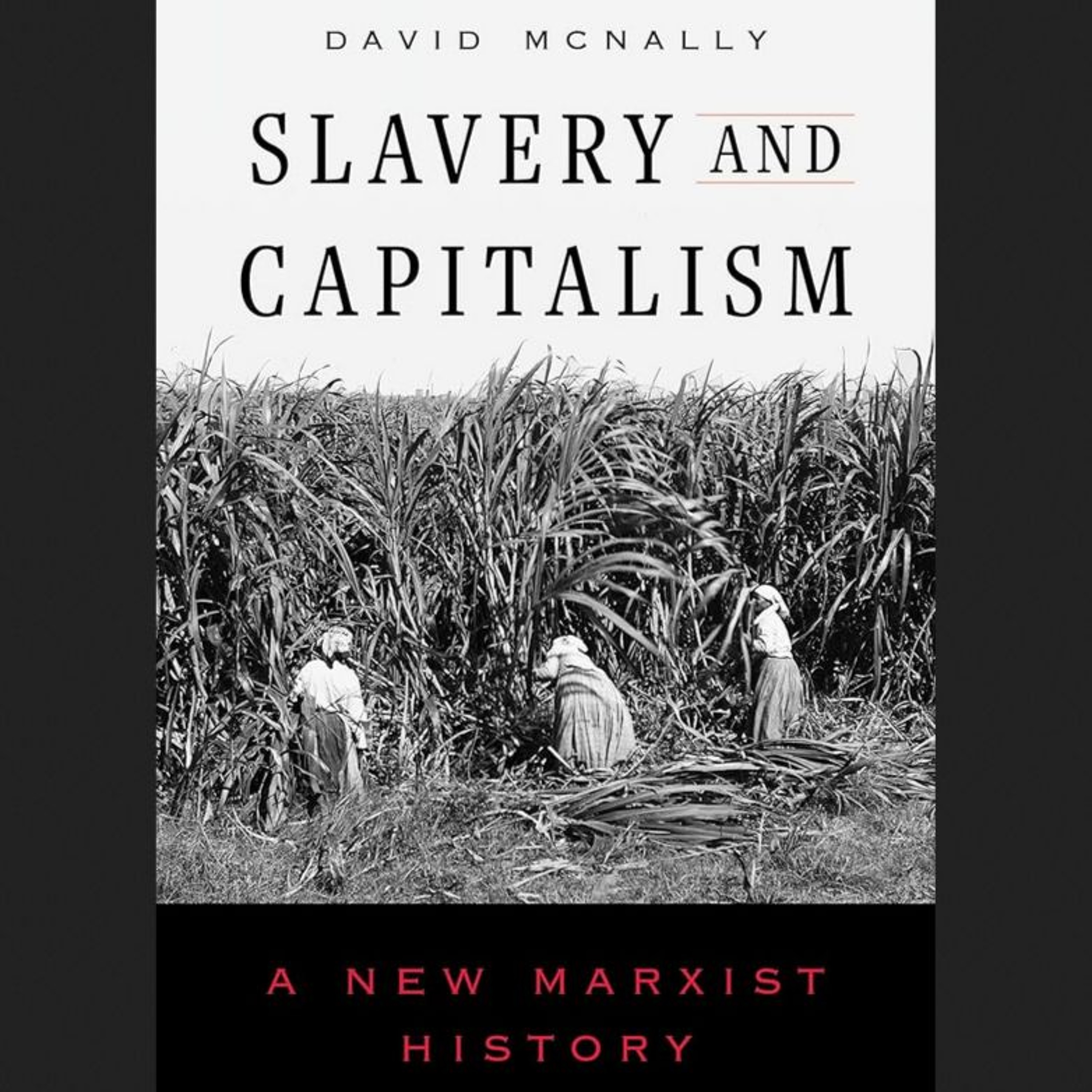Economic Impact | Episode 61 | Dr. David McNally | Slavery and Capitalism | 1-27-26 episode artwork