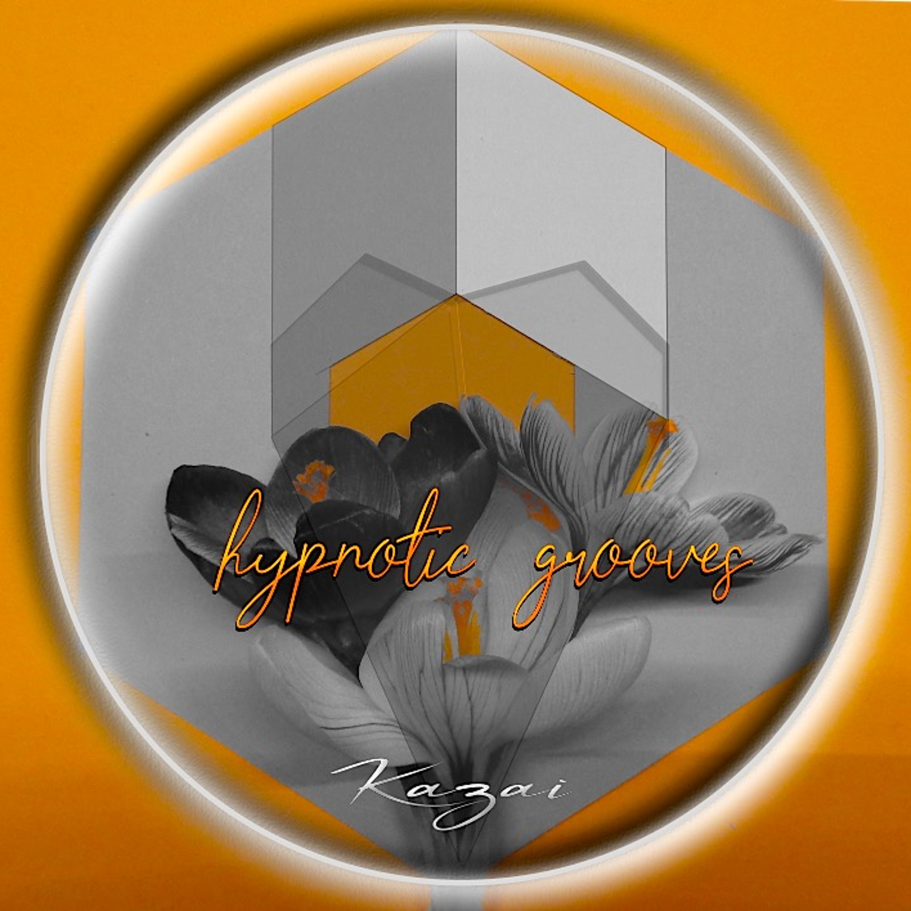 - Hypnotic Grooves - episode artwork