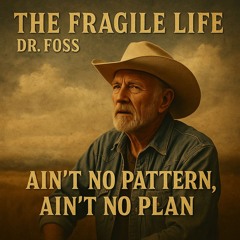 Ain’t No Pattern, Ain’t No Plan