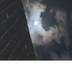 dvojitá láska   Twin Love