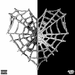 Fan Hoe ft. pulsi & Stedryyy