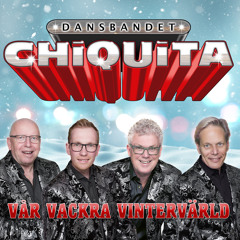 Vår vackra vintervärld