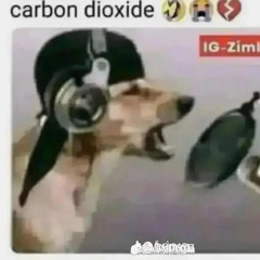 carbon dioxide maybach music type beat yurrr