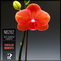 Dave Harrigan & MONYKA - Us (Original Version)