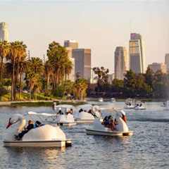 Review Special Price Swan Boat Night Ride At Echo Park Lake