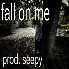 fall on me (prod.seepy)