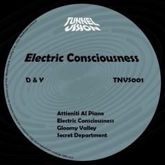 TNVS001 D&Y - Electric Consciousness