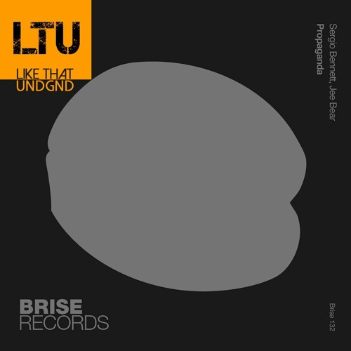 Premiere: Sergio Bennett & Jee Bear - Propaganda (Sascha Dive's Five Pocket Remix) | Brise Records