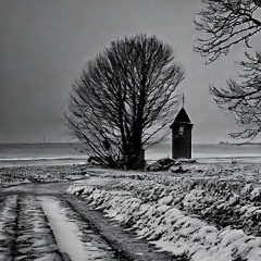 Evolving Noodles =^^= Live Performance