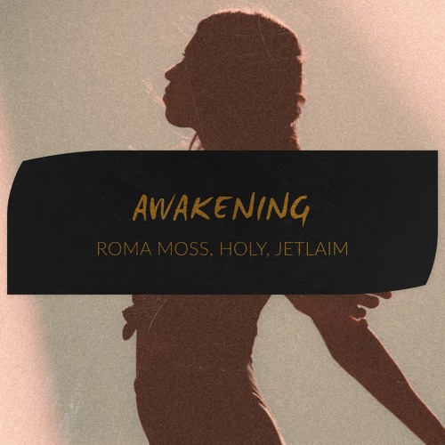 PREMIERE: Roma Moss, Jetlaim - Awakening (Original Mix) [Hidden Vibes]