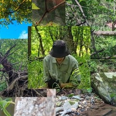 Songs I Contributed To