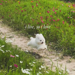 problems (prod. 1notrama)