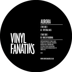 Aurora - Voice Of Buddha - VFS075 - 192mp3 clip