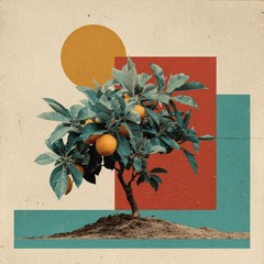 Wrong Time Sweet (Alternate Version)