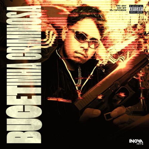 BUCETINHA CRIMINOSA - MC Gw e MC B7 ( DJ NpcSize )