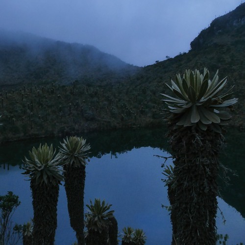Dusk at the Mountain Lagoon - Páramos