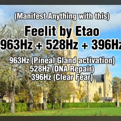 Feelit 963Hz + 528Hz + 396Hz
