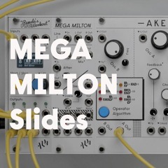 MEGA MILTON Slides