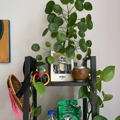 Av Du Parc 76 - Prélude À L Île De Montréal