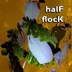 halF flocK [naviarhaiku637]
