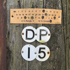 DP15