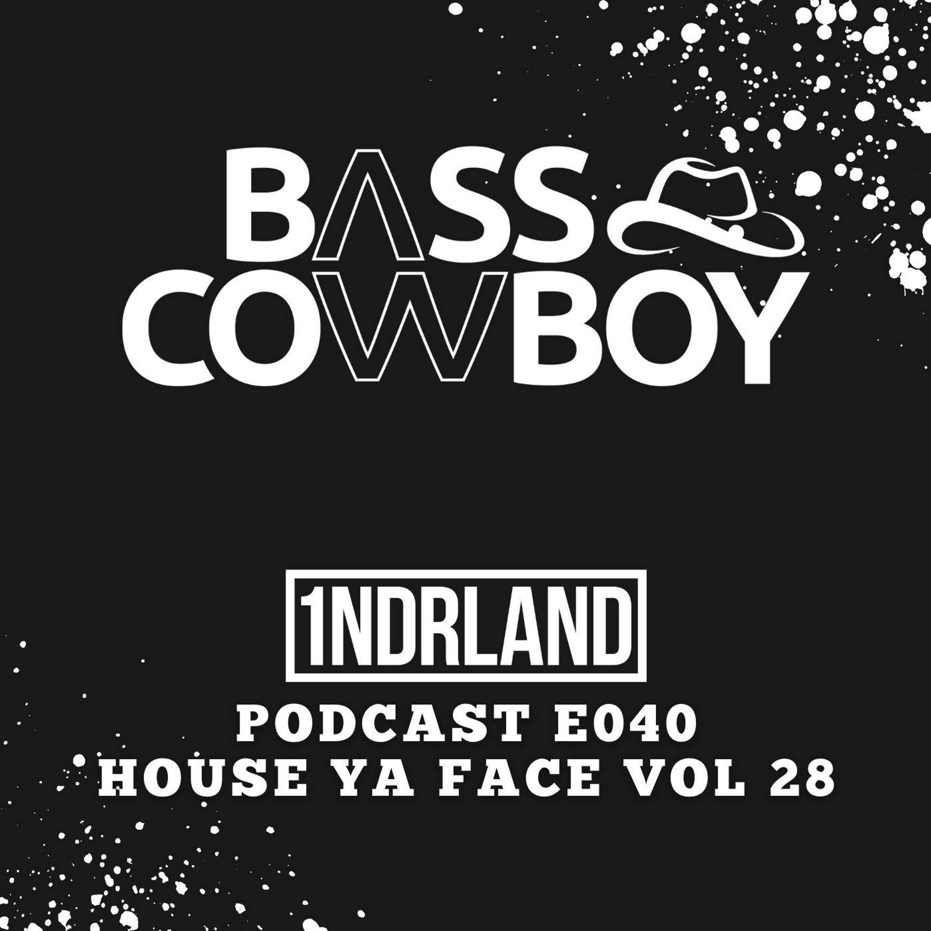 E040 - House Ya Face Vol 28
