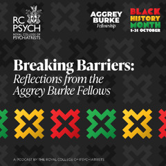 Breaking Barriers: Reflections from the Aggrey Burke Fellows