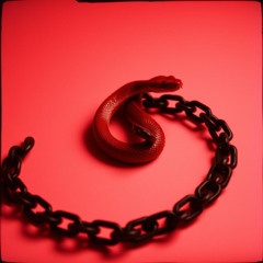 Crimson Veins