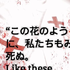 Stream シュ Xu | Listen to music playlists online for free on