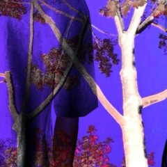 REDIRECT (PROD. VANSYKUT)