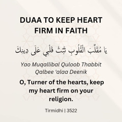 “O Turner of the Hearts” Brother. Abu Marjaanah