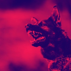 Animal (prod. bonnieroger)