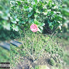 Dnt play in tha garden